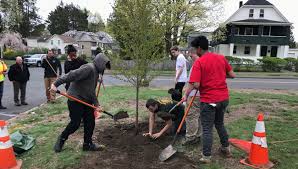 Tree Planting